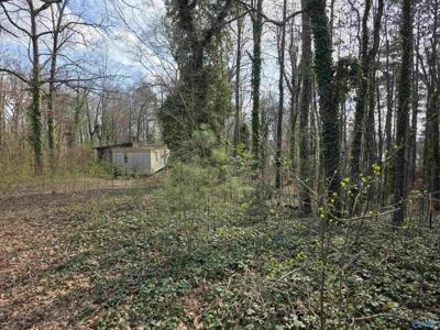 130 County Road 426
