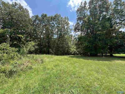 219 LOT Lookout Mountain Drive
