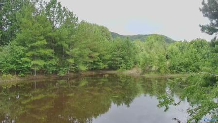 4040 County Road 131