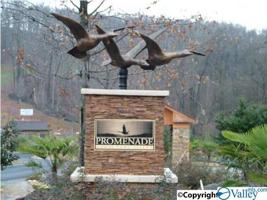 111 Lookout Mountain Drive