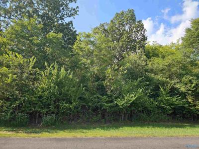 124 Redstone Drive