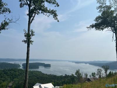 48 Treetop Drive