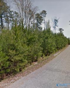 Lot 19 Bear Cove Lane