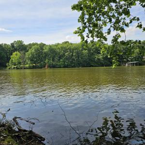 LOT 11 Beech Fork Lane