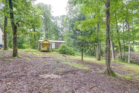 219 County Road 221