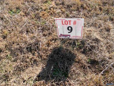 Lot 9 County Road 31