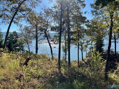 lot 252 Lookout Mountain Drive