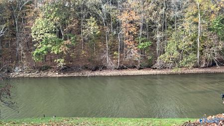 0.42 +/- Acres Dogwood Circle