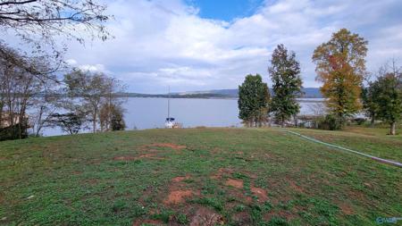 236 Pinewood Drive