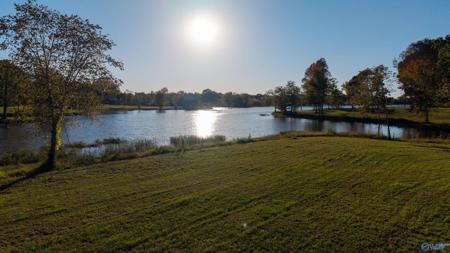 Lot 29 County Road 115