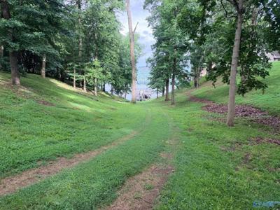 Lot 230 Lookout Mountain Drive