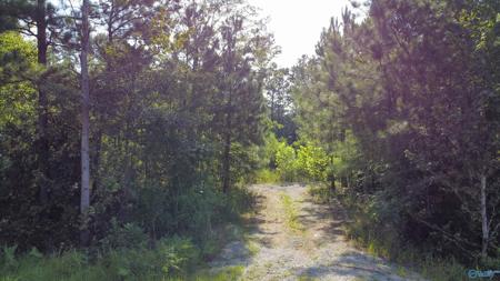Lot 7 Hiawatha Place