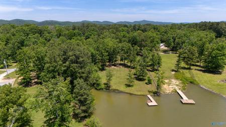 lot 4 Coosa Street