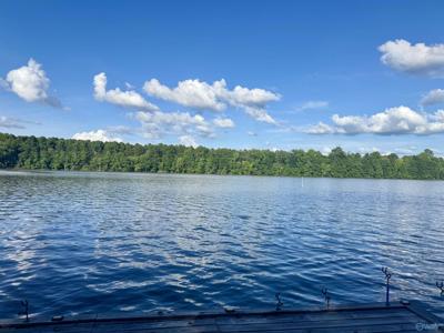 Lot 3 County Road 803