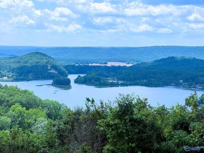 LOT 210 County Road 767