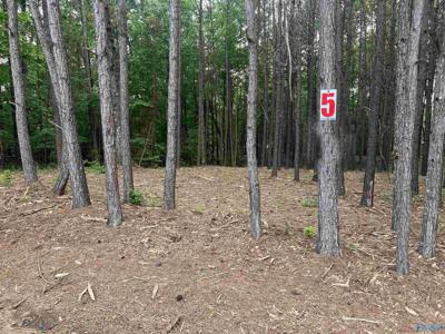Lot 5 Arrowhead Drive