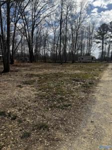 1725 County Road 182