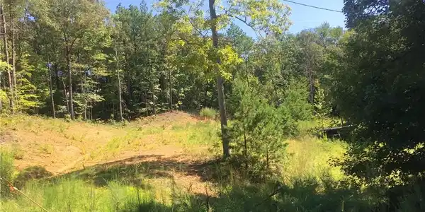 12471 Deer Chase ROAD