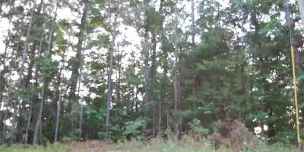 0 MULLIGAN Drive