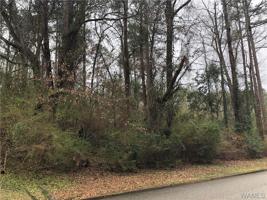 3009 Paddlecreek Lane