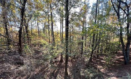 Lot 4 Allison Drive