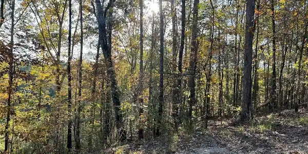 Lot 7 Allison Drive