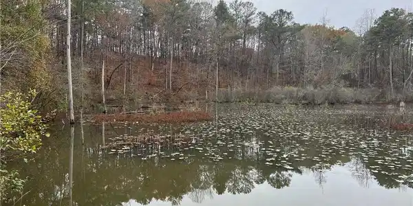 0 Bluegill Lane