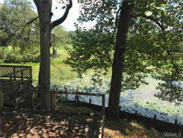 17425 SPENCERS COVE Road