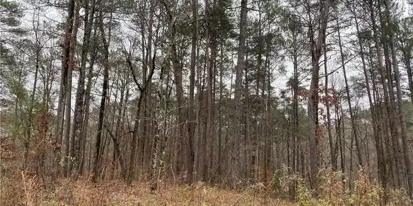 Lot 21 Teddy Drive