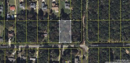 00 00 Christina Drive