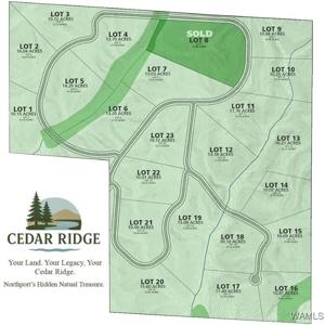 8 Cedar Ridge