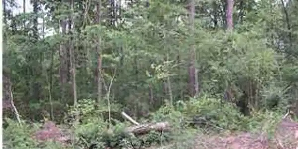 12520 MULLINGAN DR