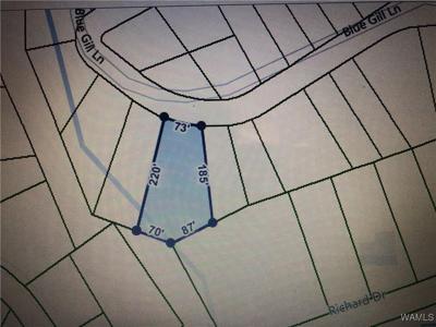 00 Blue Gill Lane