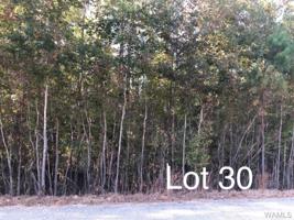 Lot 30 Lake Hills Lane