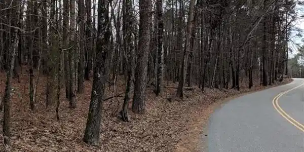 lot 4 WOODLAND LAKE RD