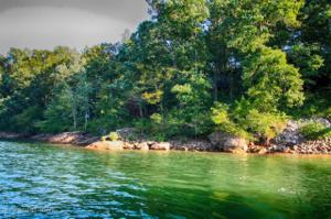 LOT 15 EAGLE POINTE ROAD