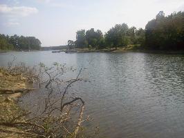 409 COUNTY RD 3953