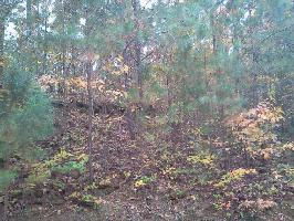 LOT # 11 HIDDEN FALLS