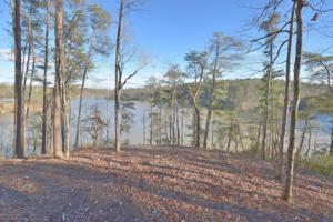 LOT 4 ROCK CREEK POINT