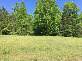 LOT 213 STONEY POINTE LANDING