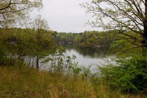 LOT 7 THE OVERLOOK AT SIMPSON CREEK
