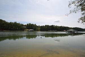 LOT 7 PARADISE POINT