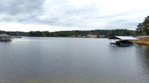LOT 41 CO RD 175