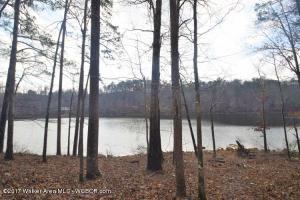 LOT 4 COUNTY ROAD 108