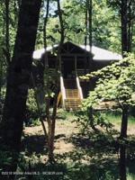 98 COUNTY ROAD 3019