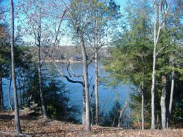LOT 40 BRUSHY CREEK POINTE