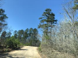 25 COUNTY RD 113