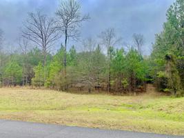 STONEY POINT Rd