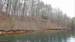 LOT 8 BLUE WATER POINTE Dr