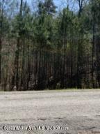 LOT 60 BRUSHY CREEK POINTE